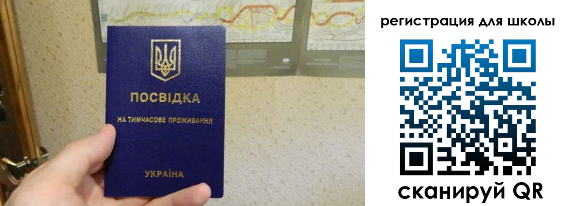 временная прописка в Рошале